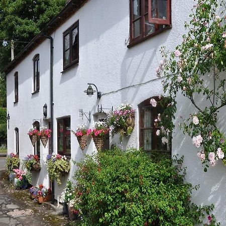 เชพเพิร์ด โรว์ Bed & Breakfast West Haddon ภายนอก รูปภาพ